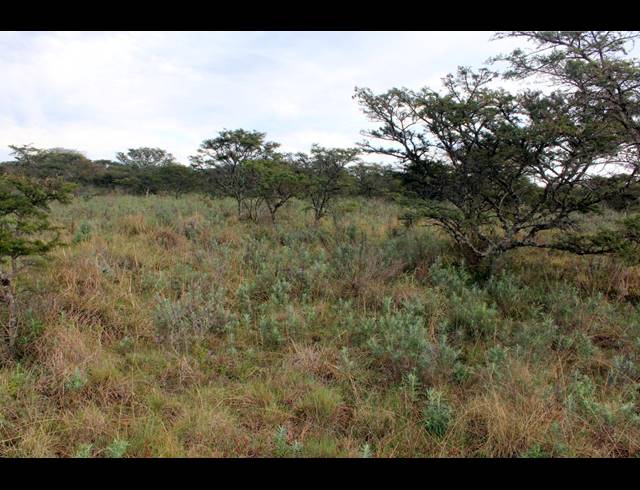 367HA FARM FOR SALE IN KOMGA